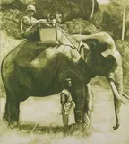 Samuel Herbert, Super 8, 2004, oil on canvas