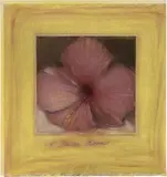 Piero Guccione, L'ibisco rosso