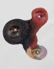 Tony Oursler, Ooks, 2004, collage and acrylic on paper applicata on card