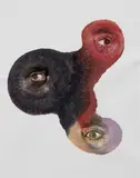 Tony Oursler, Ooks