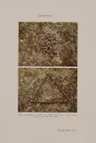 Peter Arthur Hutchinson, Transformation, 1971, fotografie and inchiostro on paper