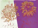 Andy Warhol, Kiku, screenprint on paper