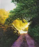 Davide Frisoni, Il sole all'improvviso, 2010, oil
