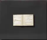 Emilio Isgrò, Libro per un compleanno