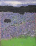 Carlo Mattioli, Campo di lavanda in Versilia
