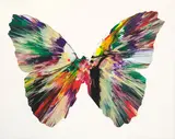 Damien Hirst, Butterfly, 2009, acrylics on cardboard