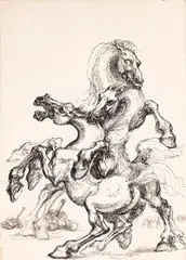 Marcel Chirnoagă, Horse, 1976, ink on paper