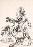 Marcel Chirnoagă, Horse, 1976, ink on paper
