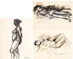 Vittorio Basaglia, Various subjects, lot of