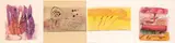 Indian summer by Elisa Montessori, 2001, lot of, offered Jul 2026