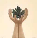 Mirella Bentivoglio, From a tree of pages, collage on lithographic basis e.g.