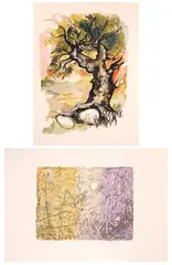 Augusto Murer, Various subjects, lot of