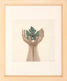 Mirella Bentivoglio, From a tree of pages, collage on lithographic basis e.g.
