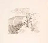 Corrado Balest, The agave on the rock, folder containing