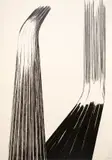 Rosanna Lancia, untitled, lot of