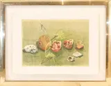 Giancarlo Cazzaniga, Pomegranates, lithography e.g.