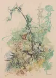 Renzo Vespignani, Pianta acquatica