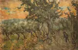 Salvatore Di Giuseppe, Uomo tra gli alberi