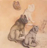 Carlo Guarienti, Cane n° 3