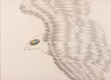 Aldo Turchiaro, Uccello