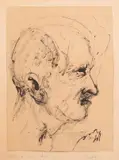 Mario Donizetti, Testa