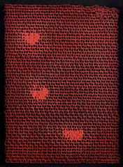 Bernard Aubertin, Alveolès, 1990, On the back: signature