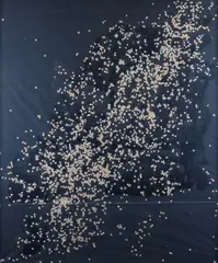 Tano Festa, Confetti, 1984, On the back: signature and date. The work is registered in the Tano Festa Archives under no.