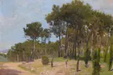Pine forest by Ruggero Focardi, offered May 2026