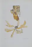 Nani Tedeschi, Untitled, 1970