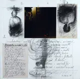 Michele Zaza, Dissolution