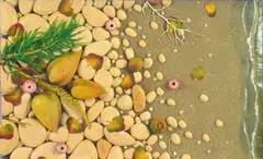 Piero Gilardi, Beach with coconut trees, 2003, On the back: signature