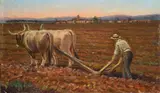 Luigi Gioli, The plowing