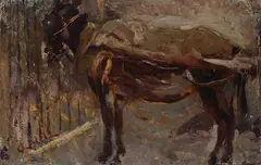 Cesare Ciani, Donkey