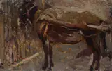 Cesare Ciani, Donkey