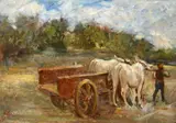 Cesare Ciani, Cart with oxen