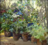 Giuseppe Aprea, Flowers (Study)