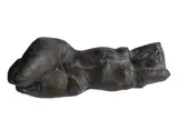 Richard Hess, Reclining Figure III, 1993, Bronze sculpture.