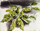 Leaves by Renato Guttuso, offered Feb 2026