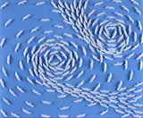 Riccardo Gusmaroli, White Vortex