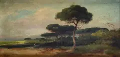 Henry Marko', Landscape with pine forest