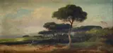 Henry Marko', Landscape with pine forest