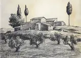 Nino Tirinnanzi, Houses in Chianti