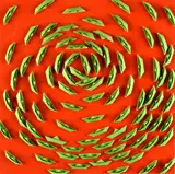 Riccardo Gusmaroli, Green Vortex