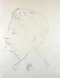 Andy Warhol, Profile of an Unknown Woman, "Andy Warhol" stamp on the left. This work is accompanied by a certificate of authenticity from the Andy Warhol