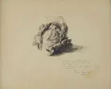 Pietro Annigoni, Cavolo