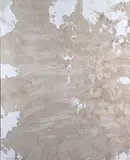 Hermann Nitsch, Senza titolo
