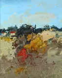 Sergio Scatizzi, Weight