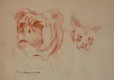 Cani by Pietro Annigoni, offered Jul 2025