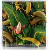 Piero Gilardi, Banana flower