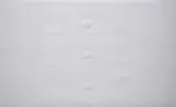 Turi Simeti, 3 white ovals